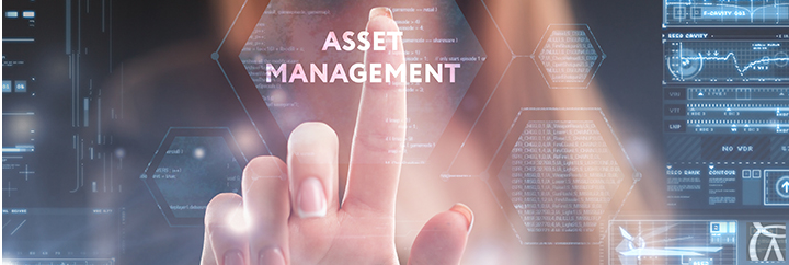 Maltas Asset Management and Servicing Sector
